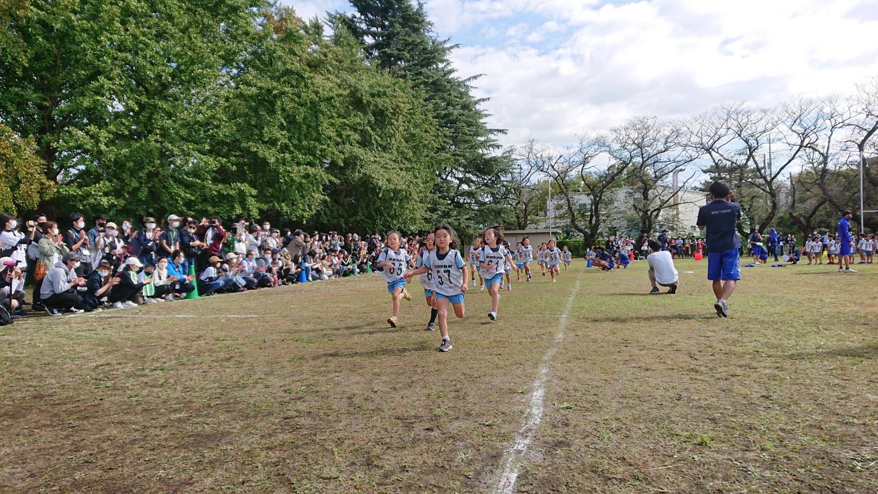 シニアスポーツフェスタ