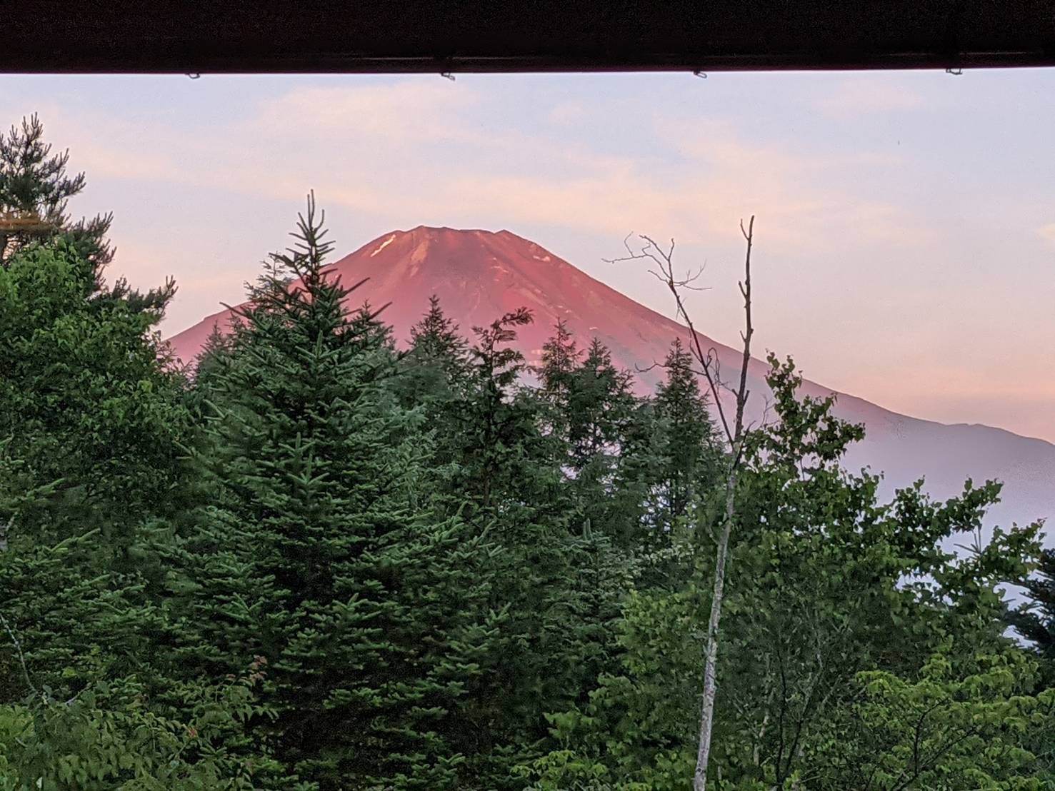 サマーキャンプ（セミジュニア・ミドル・シニア）