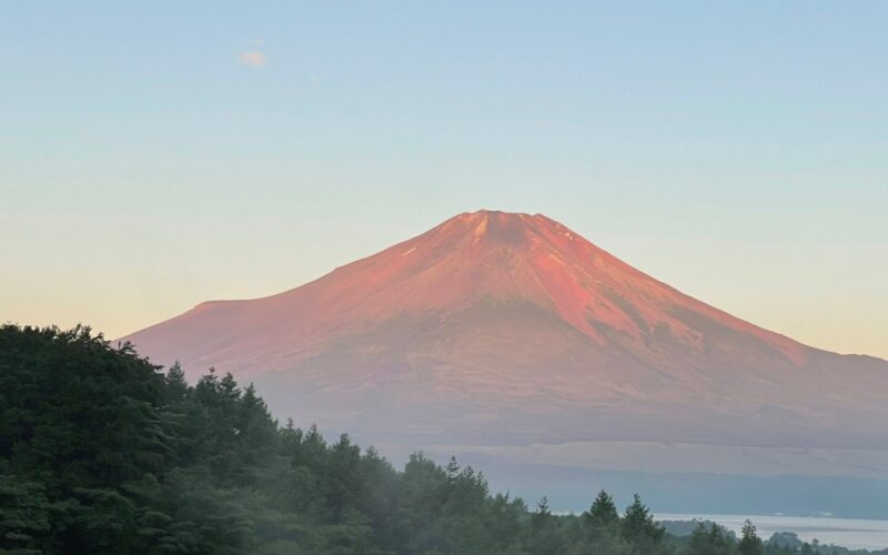 サマーキャンプ シニア ミドル セミジュニア バディスポーツ幼児園 バディスポーツクラブ