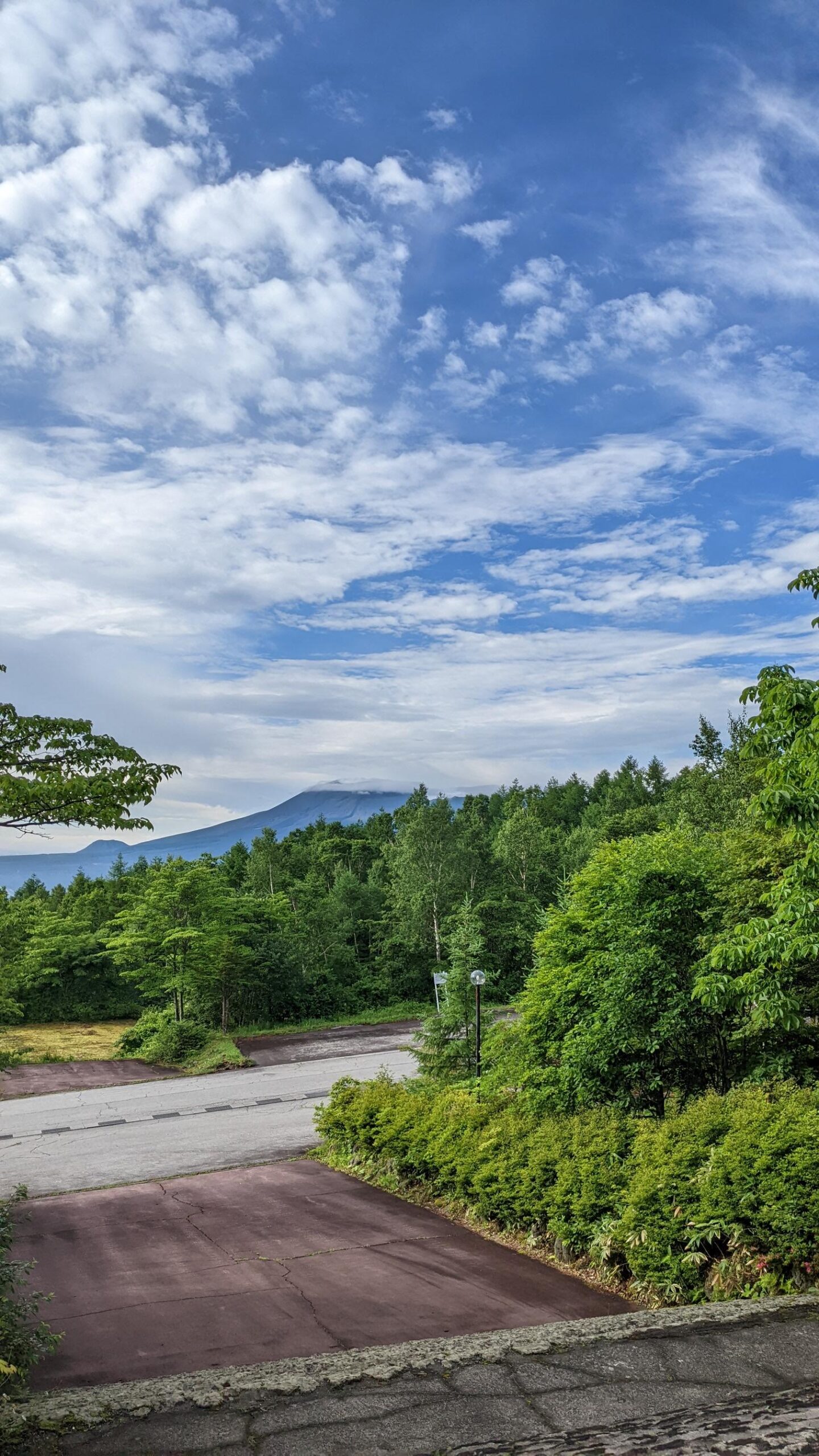 ジュニアキャンプ
