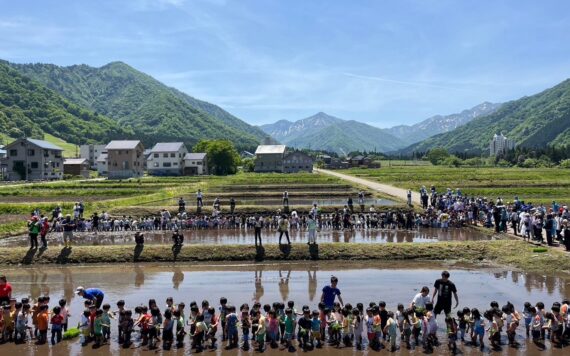 田植え実習