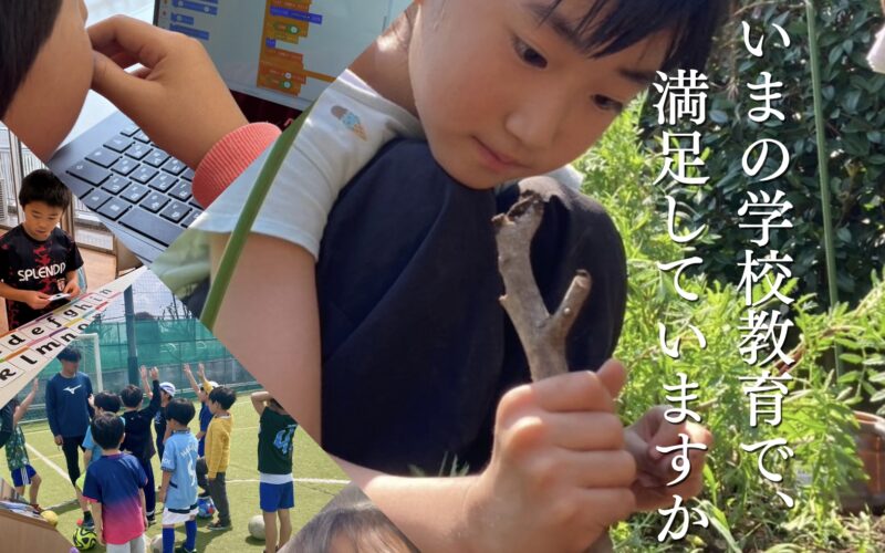 バディグローバルスクール(小中一貫校)：入学願書受付開始